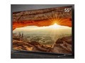 ��֥ Z600QFR-PRO 55Ӣ