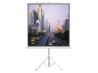 ��Ҷ֧��Ļ(120Ӣ��/����/4:3)