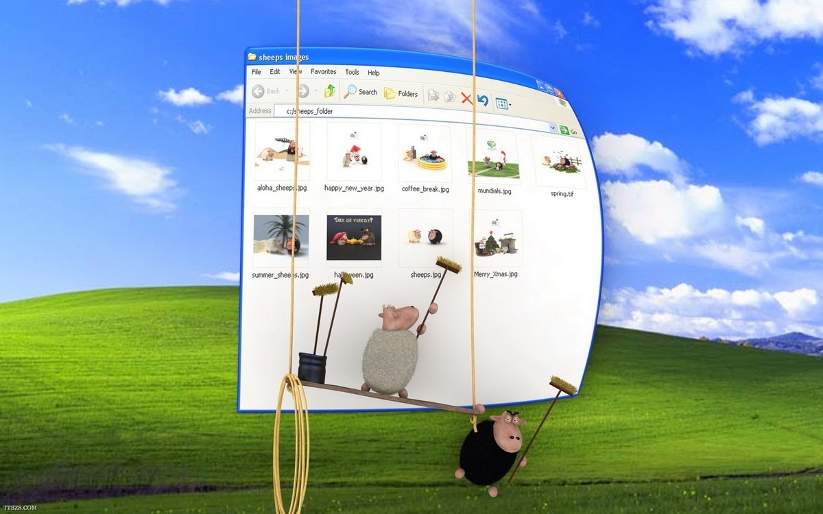 1680×1050卡通sheep壁纸