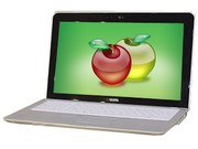 msi΢ X600-017CN-ISSU352G32XP