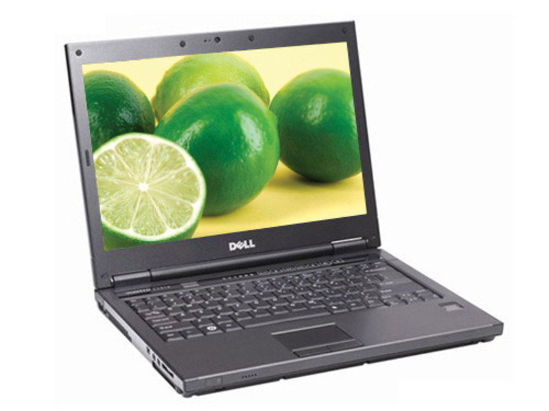 Vostro 1310(S520696CN)