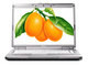 Inspiron 1526(S510628CN)