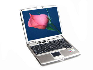 Latitude D610