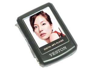 ӯͨYN-ZIPO512MB