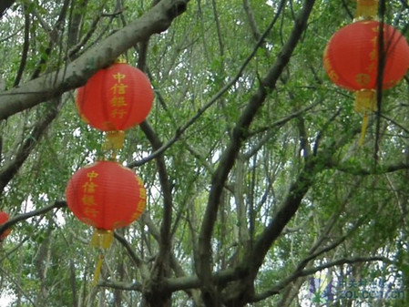 �콢��ȫ����DV ����HD-A85������� 