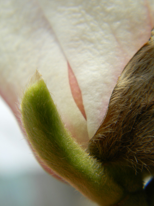 15���������� С�ɳ����῵L110���� 