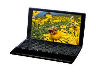 �廪ͬ��S13-N4522B03(��)