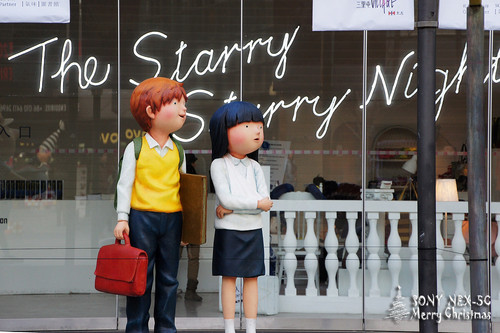 ���������ʥ���� ����NEX5���������� 