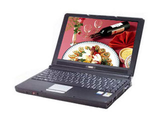 SALO W02 (6000())