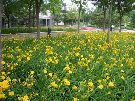 ���ܲ��� ����800������L85���ñ��� 