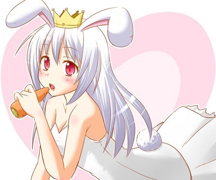 兔耳娘来袭 acg美少女兔女郎同人图