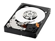 WD 150GB/10000ת(WD1500BLFS)
