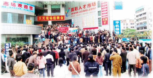 洞察澄海招聘市场新动向：机遇与挑战并存