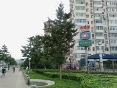 ͼΪ������-������EF71�ֻ��������� 