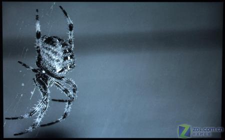 ���ɶ���22Ӣ�����Һ��VX2235wm���� 