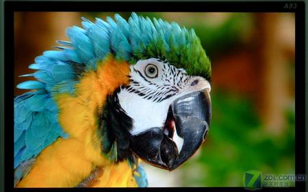 2099元宽屏液晶干掉电视 长城A93评测