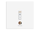 苹果OS X Lion USB 闪盘