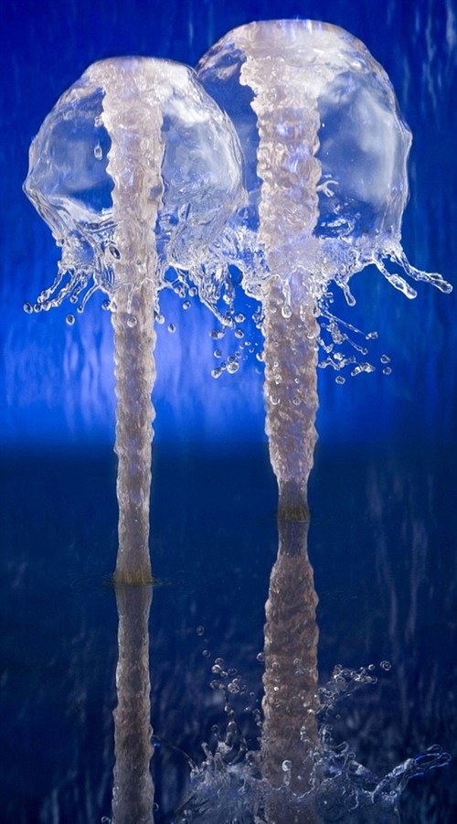 水花悬空色彩绚烂高清摄像机捕捉瞬间