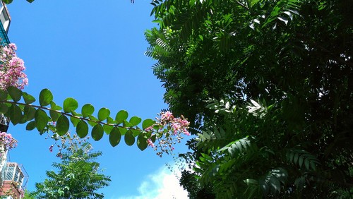 ��ͨ����S4���� ���Ŷ���HTC One XC���� 