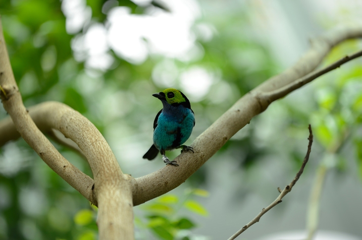 【高清图】 加2x增距镜也能对焦 尼康70-200/4样片赏图3