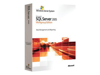 Microsoft SQL Server Workgroup 20055û