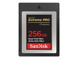 ����Extreme Pro��256GB��